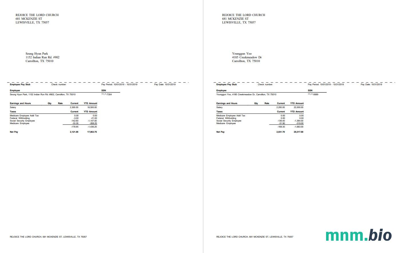 Raduj się Pay stub w formacie PDf i Word